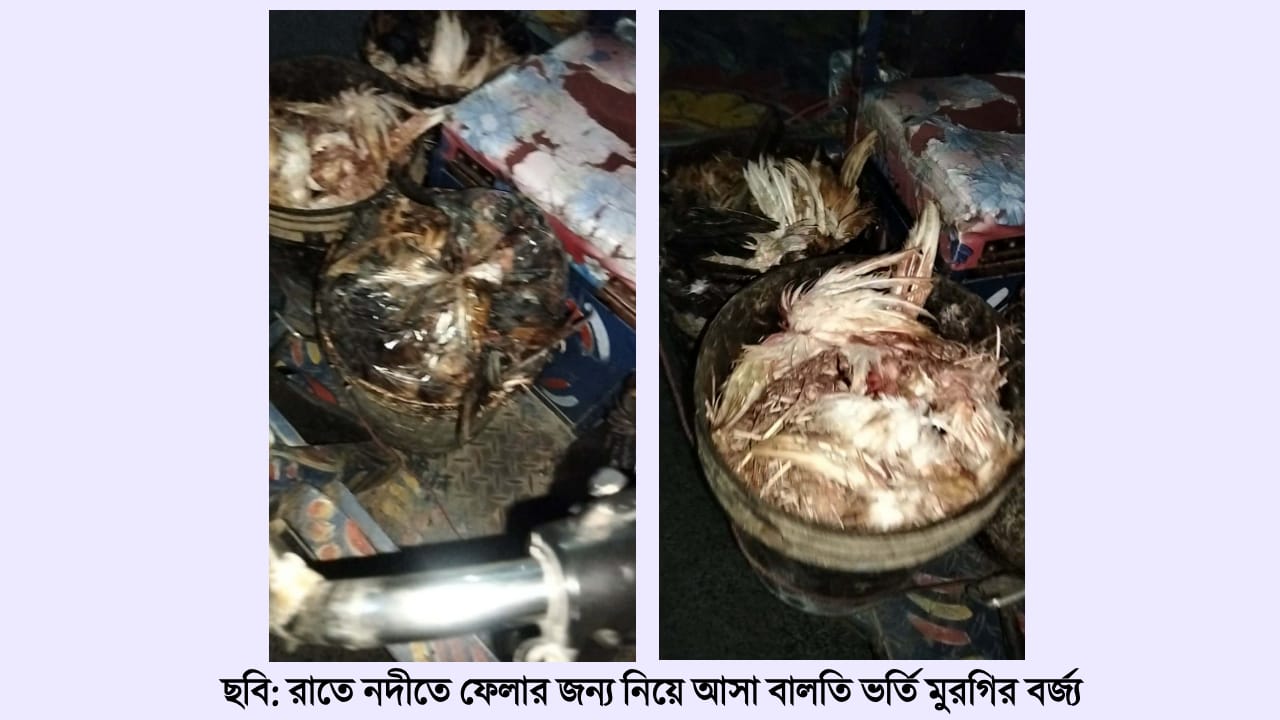 বাজারের বর্জ্যে দূষণের ঝুঁকিতে করতোয়া, হুমকিতে জীববৈচিত্র্য